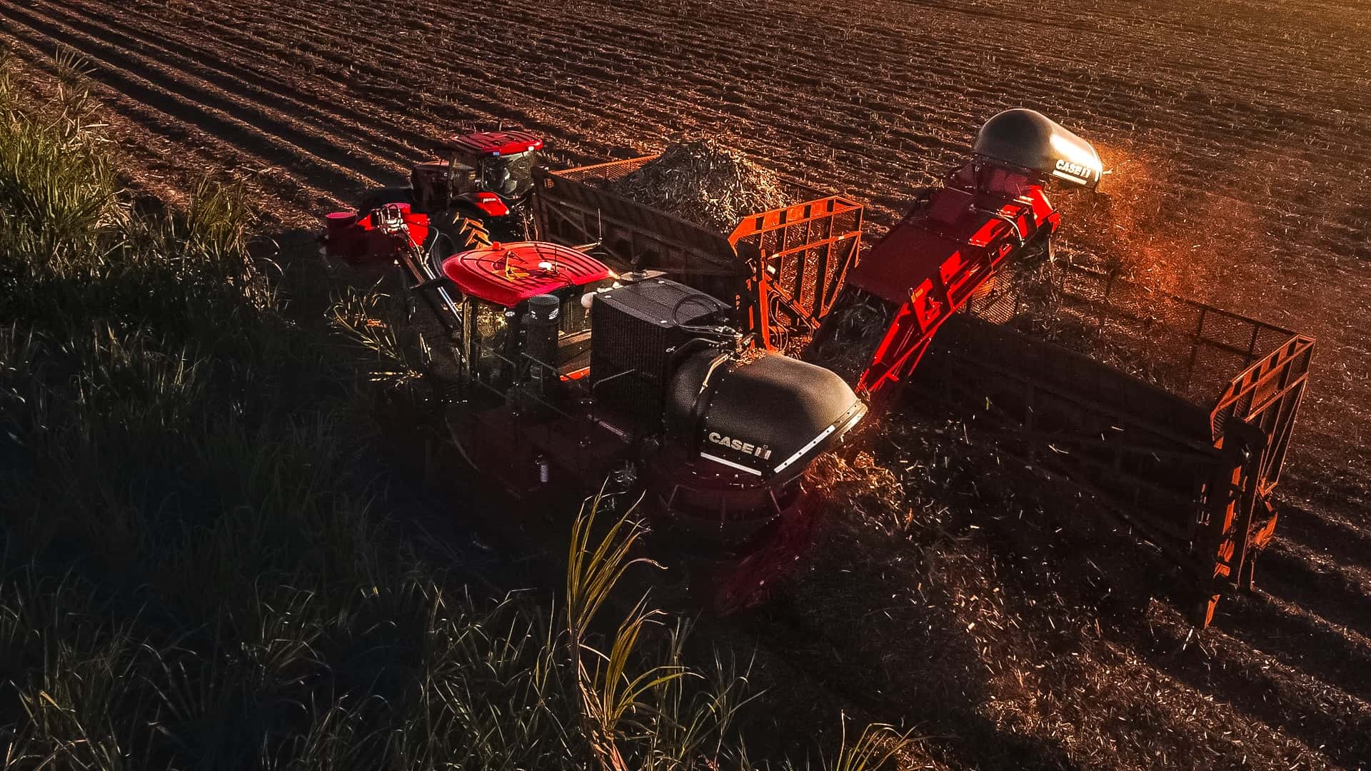 Vista aérea de cosechadora CASE IH cortando caña de azúcar al atardecer